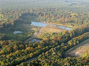 Natuurreservaat Kohbrink; op de achtergrond het bos Heisterholz, gemeente Petershagen