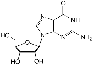 Guanosine