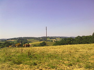 Paysage depuis Haut-de-Bosdarros.