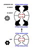 Rooting-the-tree-of-life-by-transition-analyses