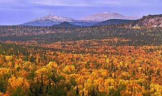 L'automne au mont Iamantou.