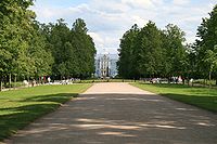 L'allée de tilleuls du parc Alexandre menant au palais Catherine