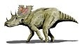 Agujaceratops