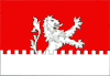 Flag of Leova