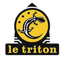 Description de l'image Logo triton.jpg.