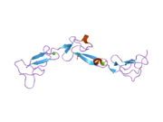 2bou: EGF DOMAINS 1,2,5 OF HUMAN EMR2, A 7-TM IMMUNE SYSTEM MOLECULE, IN COMPLEX WITH BARIUM.