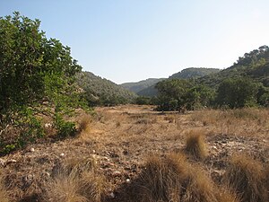 נחל אורן מבט לכוון מזרח ממוצא הנחל במישור החוף ליד כביש 4