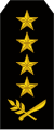 Army general