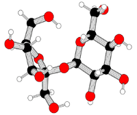 Ball-and-stick model of sucrose