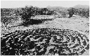 Laberinto de piedra yaqui para sembrar. Fue destruido