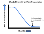 The effect of humidity on the transpiration rate of plants.