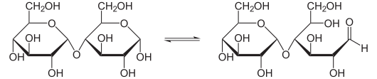 Gleichgewicht zwischen zyklischer und offener Form von Maltose