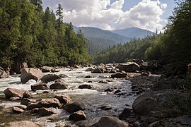 Rivière Outoulik dans la taïga.