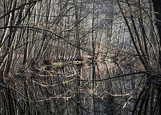 Brouwerskolkpark in Overveen