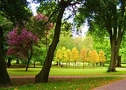 Viðarlundin Cardiff Bute Park