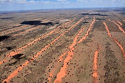 Poušť Kalahari na území Namibie