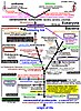 Rooting-the-tree-of-life-by-transition-analyses