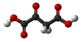 Image illustrative de l’article Acide oxaloacétique