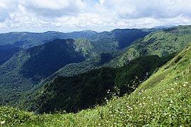 Le District d'Idukki est avec le Wayanad et Pathanamthitta, l'un des trois districts montagneux de l'État.