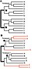 Rooting-the-tree-of-life-by-transition-analyses