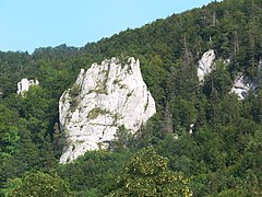 Ruinas del castillo de Hahnenkamm cerca de Wildenstein