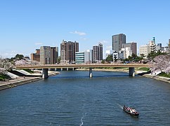 岡崎市（中核市）