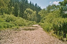 Photo du Danube asséché.