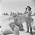 British Commonwealth infantry manning a sandbagged defensive position near El Alamein, 17 July 1942