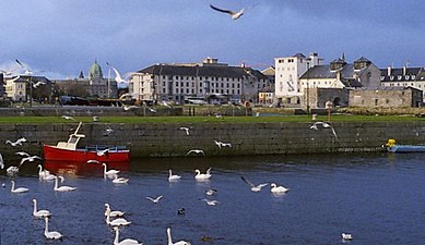 Látkép a városra, előtérben a Corrib-folyó