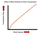 The effect of wind velocity on the transpiration rate of plants.