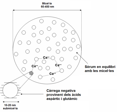 Unió de les subunitats de les micel·les.