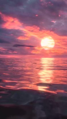 paradise sunset animated wallpaper