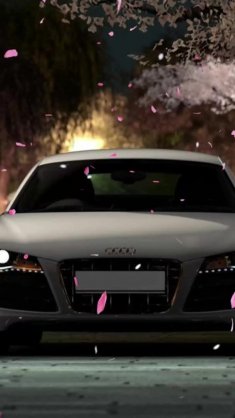 audi r8 near sakura live wallpaper