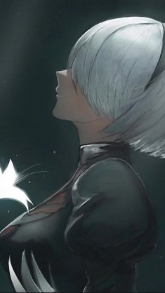 2b: warrior of beauty live wallpaper