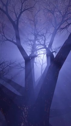 night tree under moonlit live wallpaper