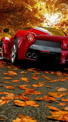 autumn ferrari laferrari live wallpaper