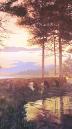 forest sunset live wallpaper