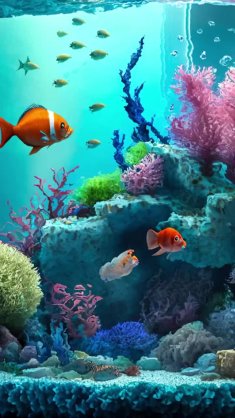 aquarium live wallpaper