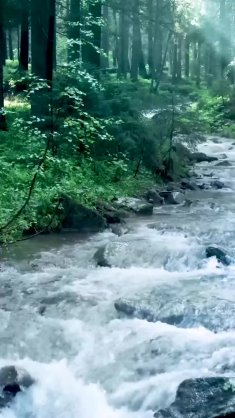 river flowing live wallpaper