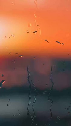 blurred sunset while raining live wallpaper