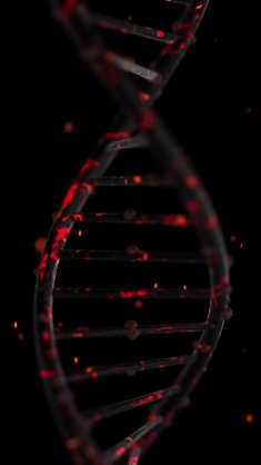 abstract dna live wallpaper