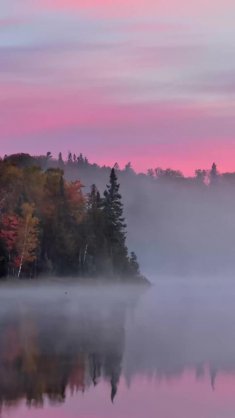 foggy lake live wallpaper