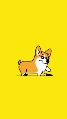 cool corgi live wallpaper