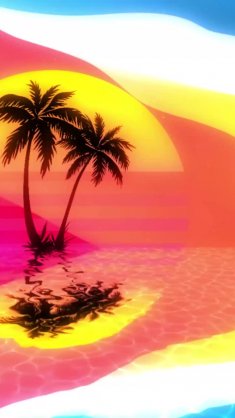 palm tree at sunset live wallpaper