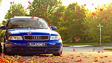 audi s4 in autumn live wallpaper