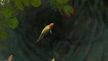 koi pond live wallpaper