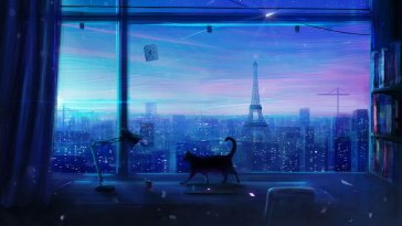 cat in tokyo city live wallpaper