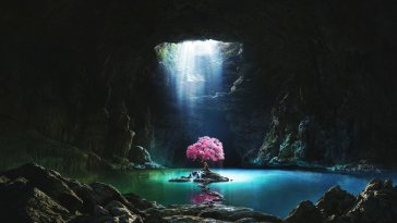 cave tree live wallpaper