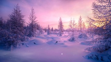 winter live wallpaper