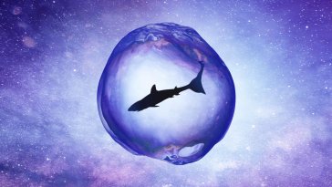 shark in space live wallpaper